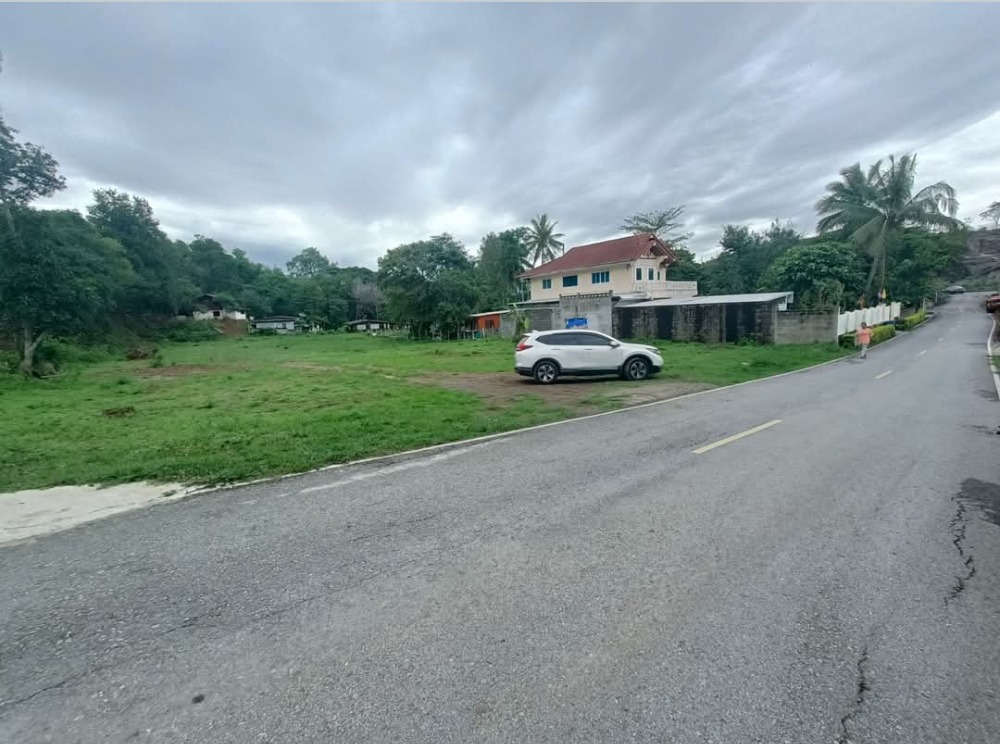 ขายที่ดินปากช่อง เขาใหญ่ : แบ่งขายแบ่งย่อยได้ที่ดินปากช่อง น้ำไม่ท่วม อากาศดี อนาคตไกล