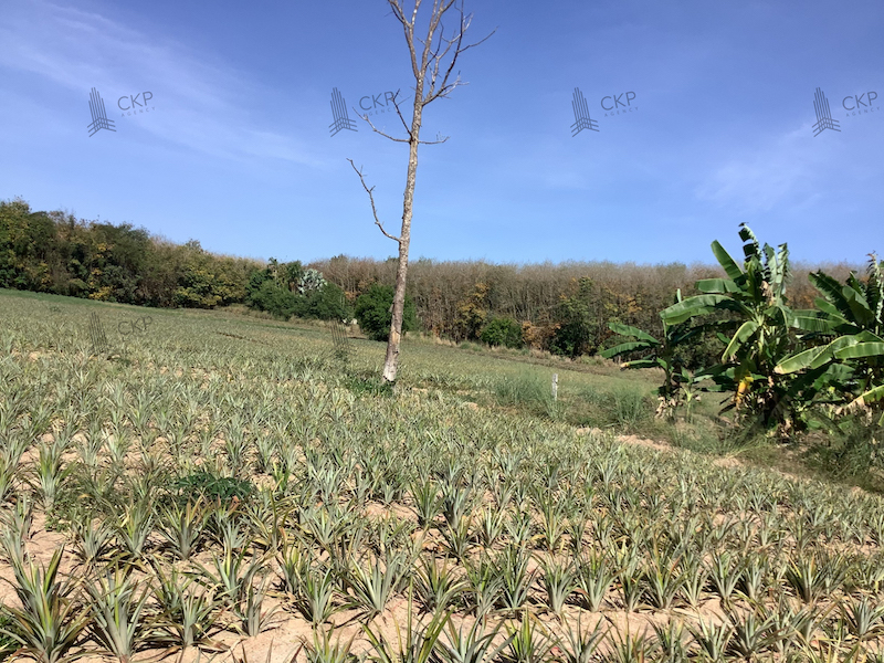For SaleLandRayong : Empty land for sale, 10 rai 16.9 sq wa., land next to the main road. Opposite Hemaraj Industrial Estate