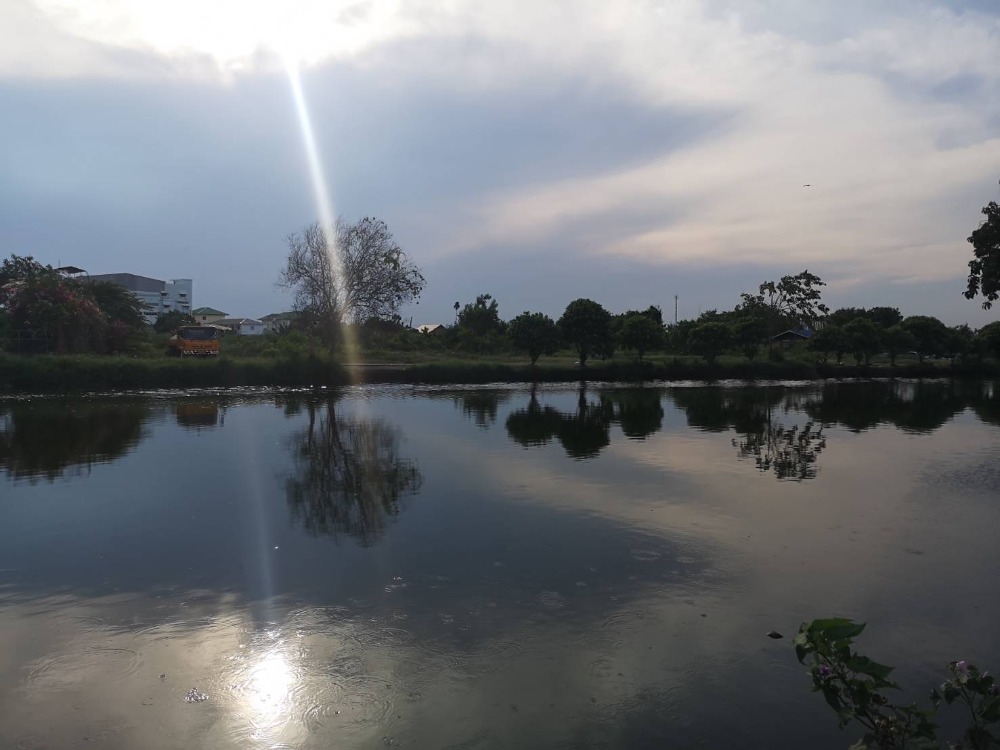 ขายที่ดินพระราม 2 บางขุนเทียน : ที่ดินหน้าวัดหัวกระบือ ท่าข้าม บางขุนเทียน เนื้อที่ 10 ไร่ ราคาถูก