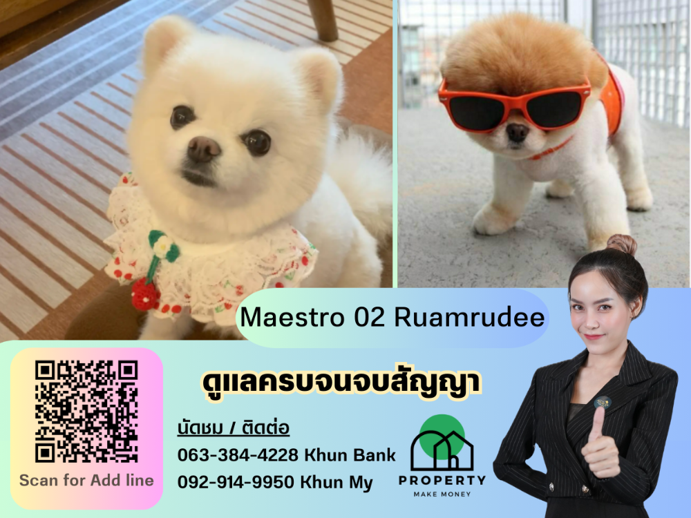 For RentCondoWitthayu, Chidlom, Langsuan, Ploenchit : Vacant for rent Maestro 02, pets allowed, modern style room with magnificent view, garden and swimming pool.
