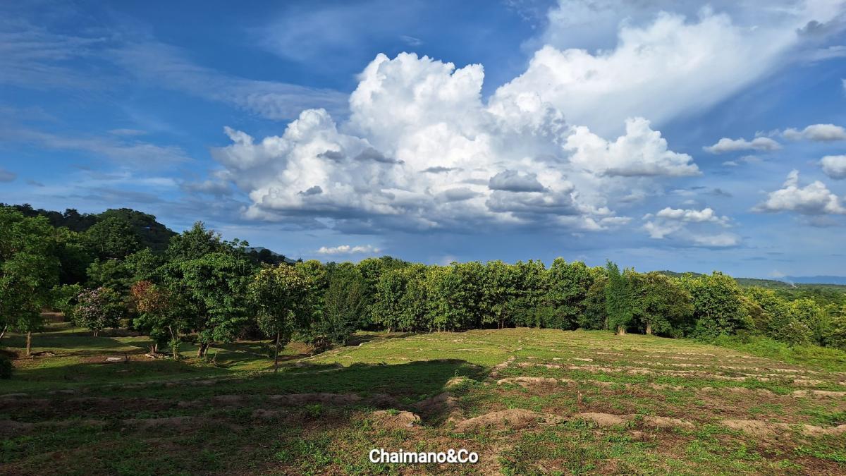 ขายที่ดินเชียงใหม่ : 🍀🏕ขายถูกที่ดิน วิวภูเขา บนเชิงเขาดอยอินทนนท์ อำเภอจอมทอง จังหวัดเชียงใหม่ พื้นที่ 9 ไร่ 67 ตารางวา เหมาะสำหรับสร้างบ้านพักตากอากาศ สถานที่แคมป์ปิ้ง สถานปฏิบัติธรรม เงียบสงบ น้ำไม่ท่วม🏕