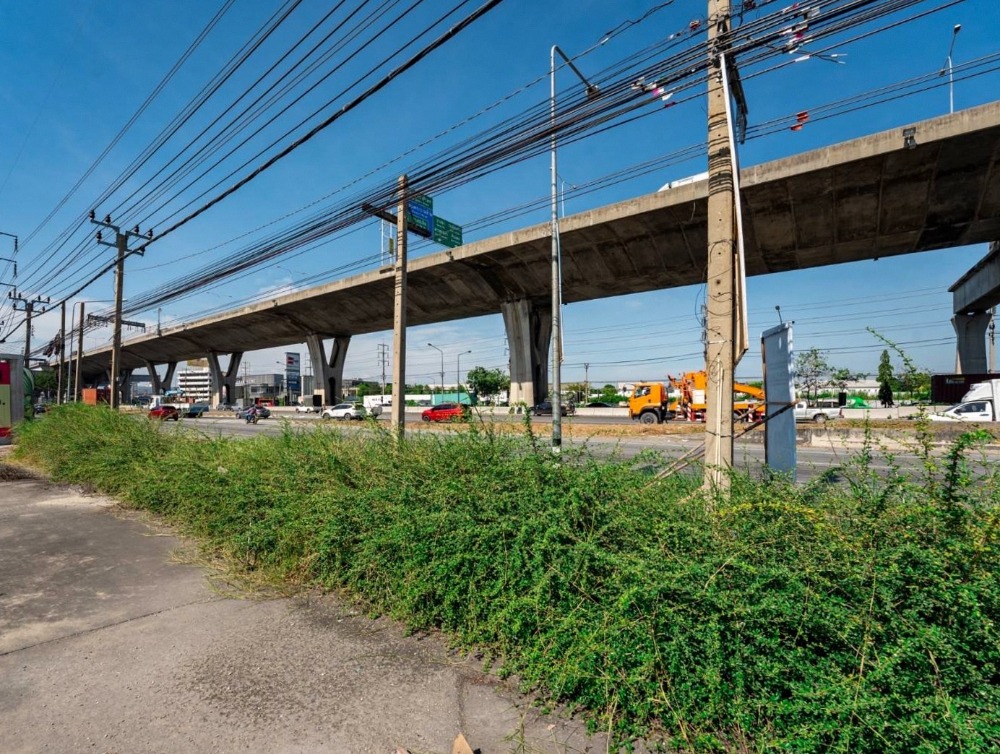 For SaleLandBangna, Bearing, Lasalle : Red land next to Bangna - Trat Road Km.10 / (SALE) CJ556