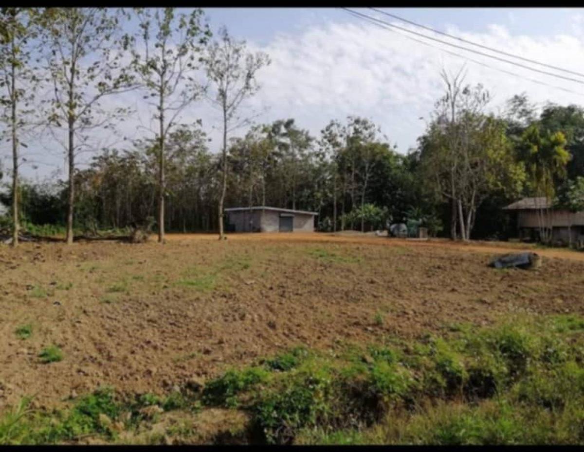For SaleLandChiang Rai : Beautiful land for sale, already filled (red Garuda title deed), ready to build a house. Sold with storage room.