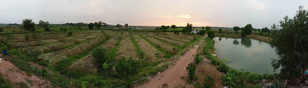 For SaleLandNakhon Nayok : Land for sale in Pak Phli-Nakhon Nayok, suitable for farming, Lam Lai, beautiful area, total 46-1-8 rai.