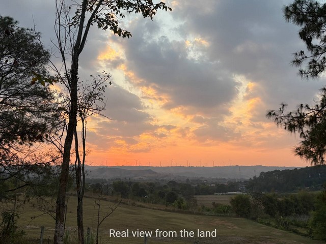 ขายที่ดินเพชรบูรณ์ : ขายที่ดินเขาค้อ 27 ไร่ ราคาถูกกว่าตลาด 60% พร้อมใบอนุญาตโรงแรม