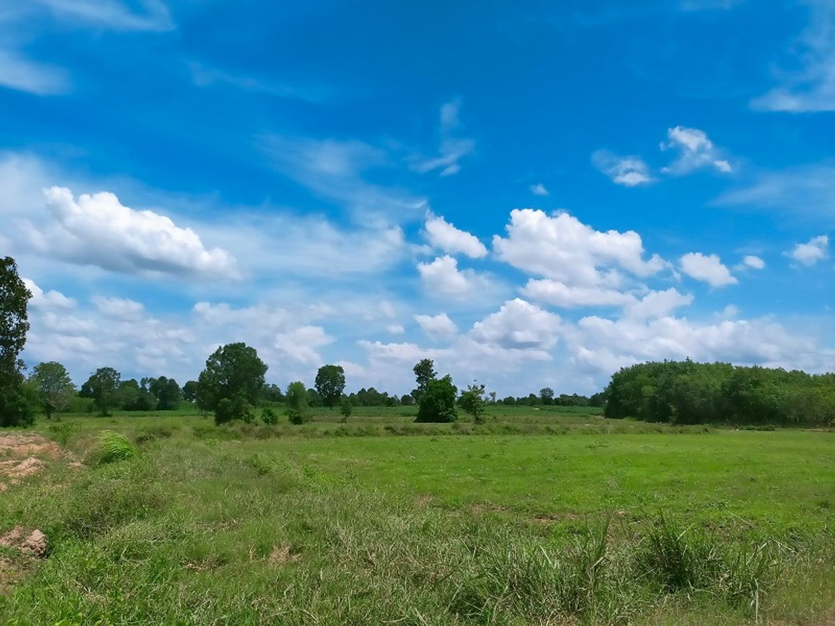 For SaleLandPrachin Buri : Empty land, approximately 460 meters on the road, approximately 520 meters deep