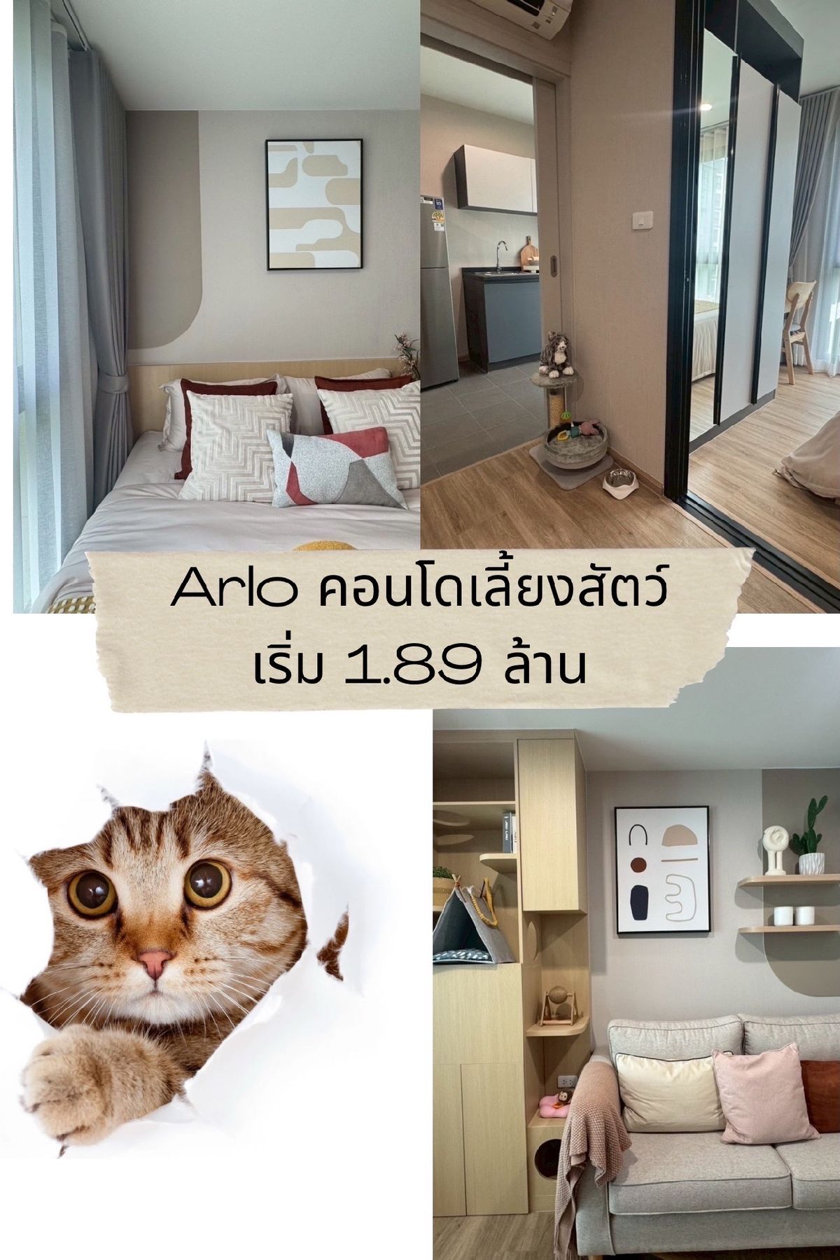 ขายคอนโดบางนา แบริ่ง ลาซาล : 𝑨𝑹𝑳𝑶 𝑳𝒂𝒔𝒂𝒍𝒍𝒆 คอนโดเลี้ยงสัตว์ ขายด่วน  ติดต่อ 086-6669965