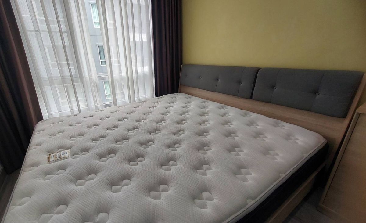 ให้เช่าคอนโดอ่อนนุช อุดมสุข : 🔰REGENT 81🔰🏡condo for rent 🏡‼️