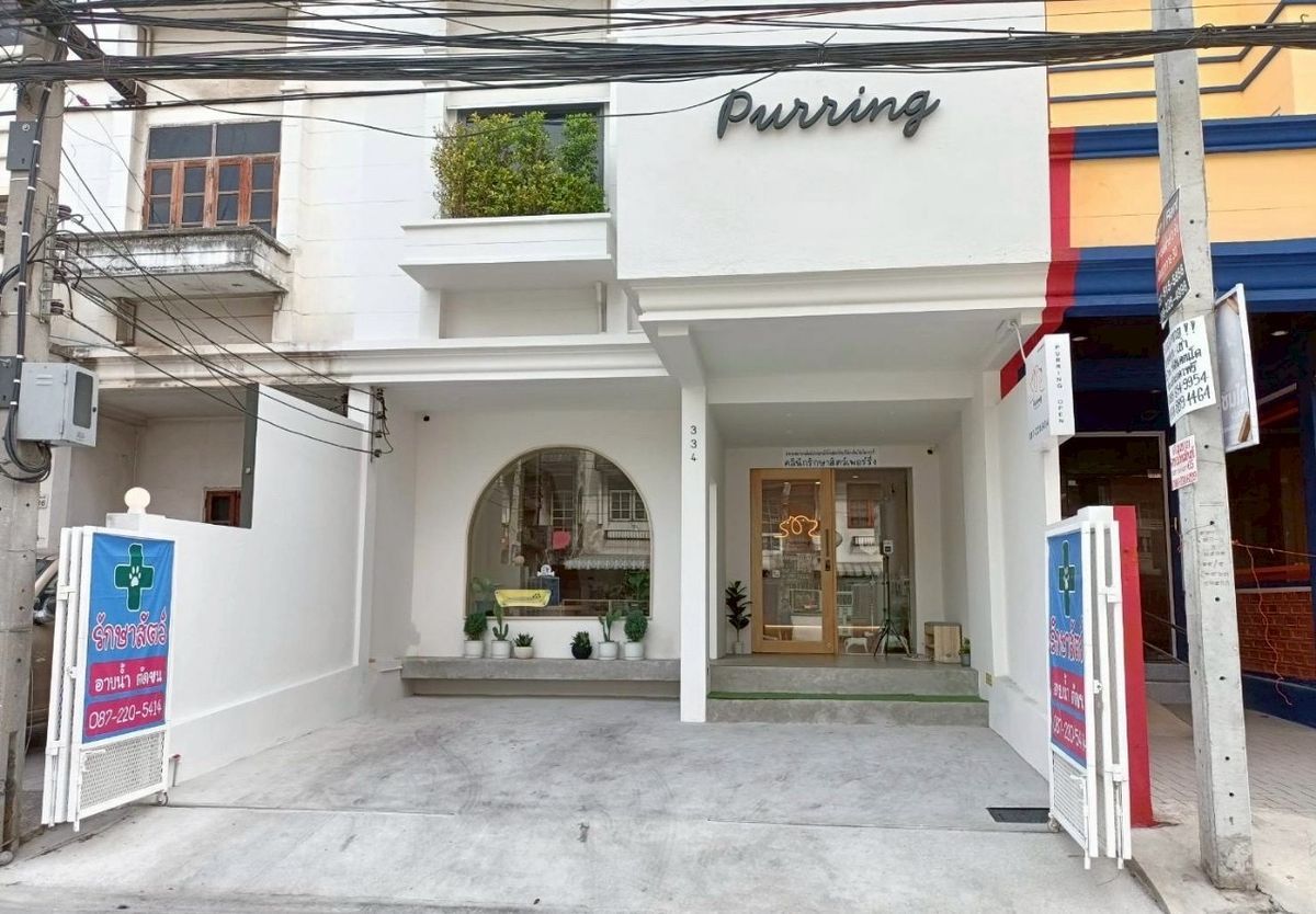 ขายอาคารพาณิชย์พัฒนาการ ศรีนครินทร์ : 🔥ขาย อาคารพาณิชย์ 4 ชั้น🔥 พื้นที่ใช้สอย 450 ตรม. ติดถนนซอยพัฒนาการ 30 แหล่งธุรกิจ ออฟฟิศ 