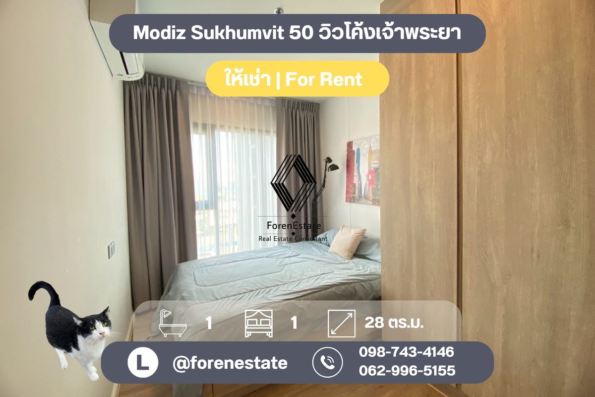 ให้เช่าคอนโดอ่อนนุช อุดมสุข : Modiz Sukhumvit 50 (Garden View) วิวเจ้าพระยาสุดจึ้ง💖🫶🏻