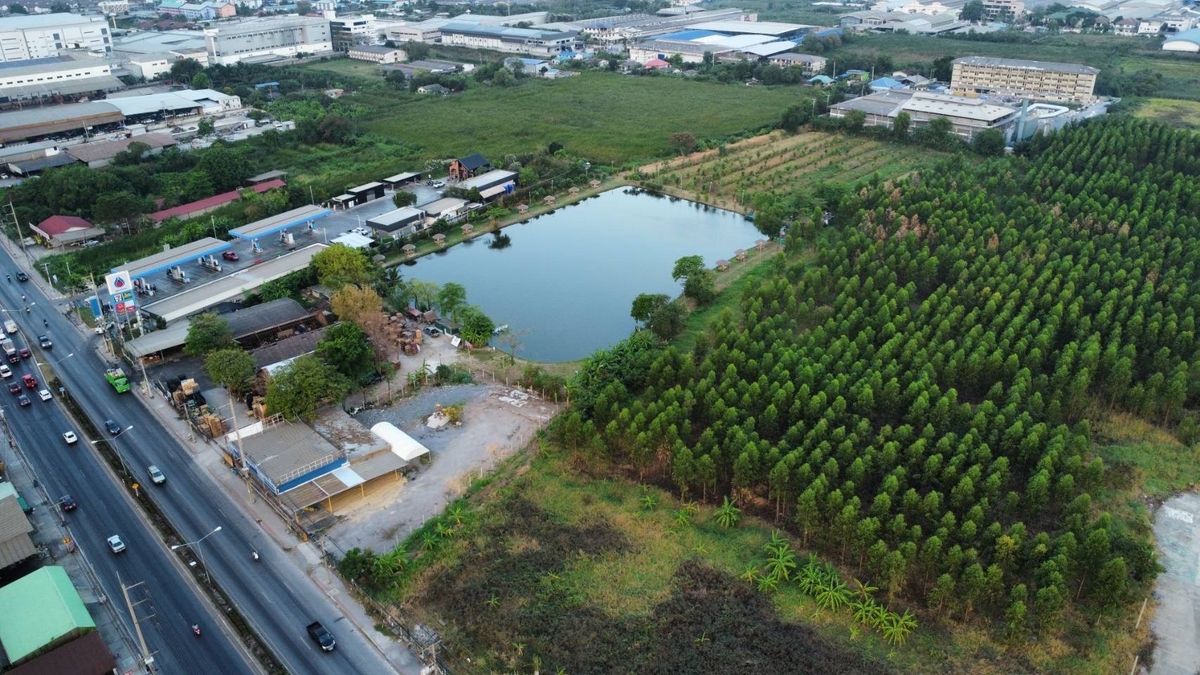 For SaleLandMahachai Samut Sakhon : Land for sale in Samut Sakhon location (Krathum Baen), 35,000 baht