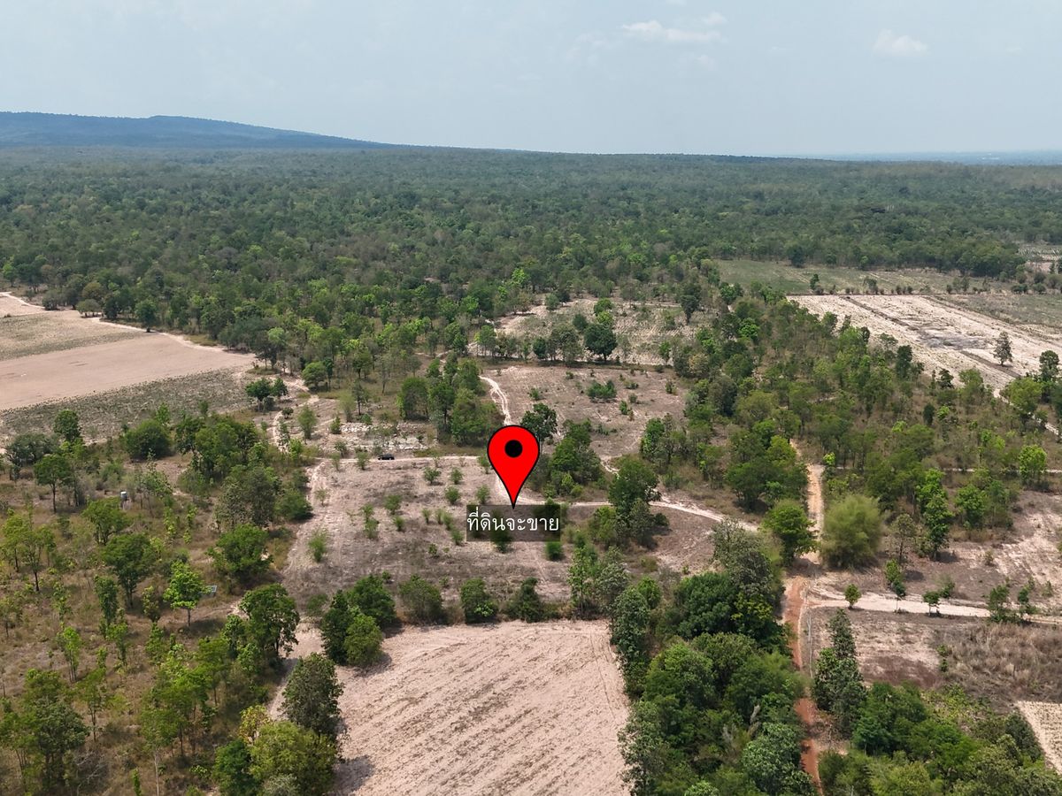 ขายที่ดินขอนแก่น : ที่ดิน ราคาพิเศษ ไร่ละ 50,000 บาท 31ไร่ อ.บ้านฝาง จ.ขอนแก่น