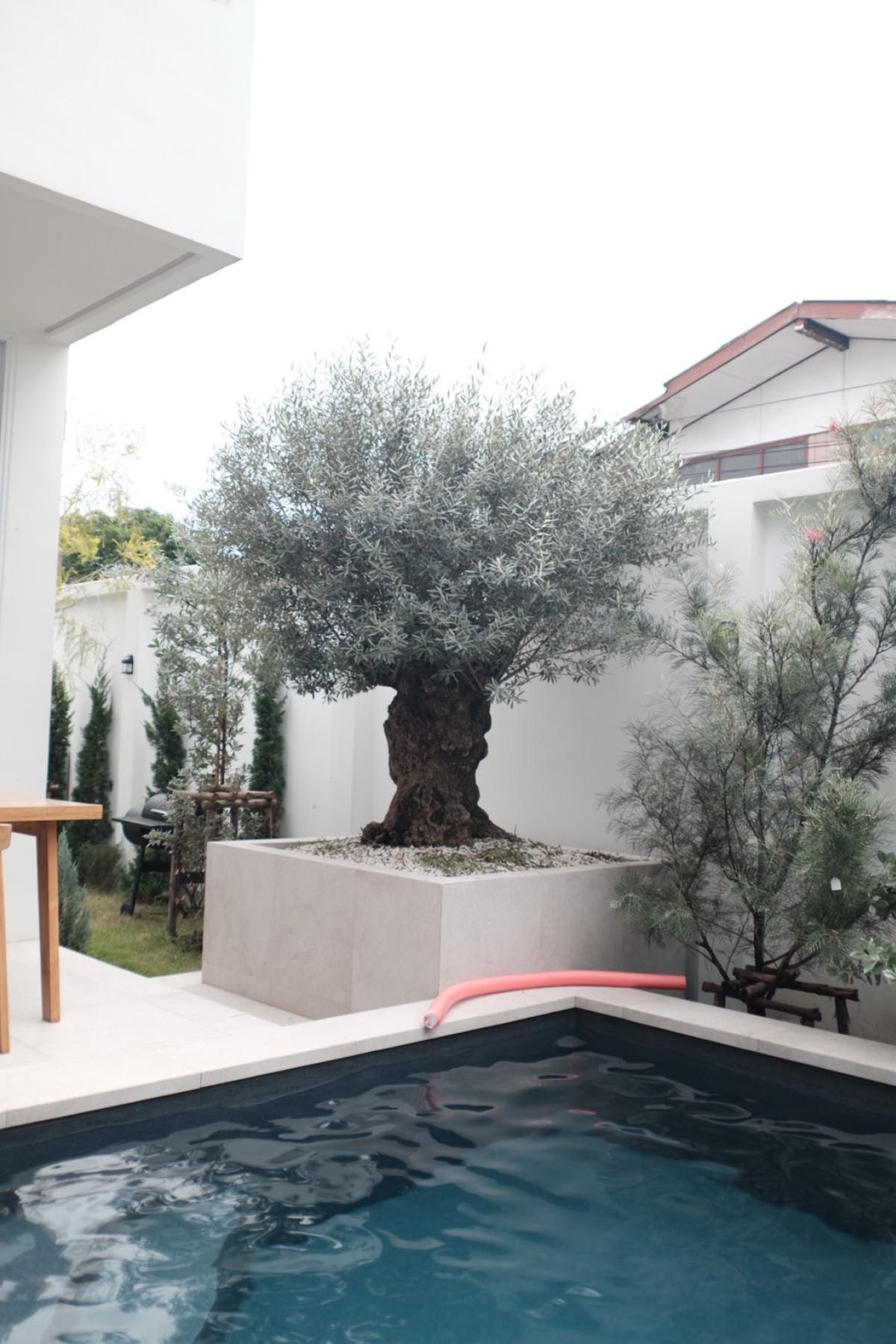 For SaleHouseChokchai 4, Ladprao 71, Ladprao 48, : For Sale house Soi Lat Phrao 64 , Wang Thong Lang , Wang Thong Lang , Bangkok , CX-136868