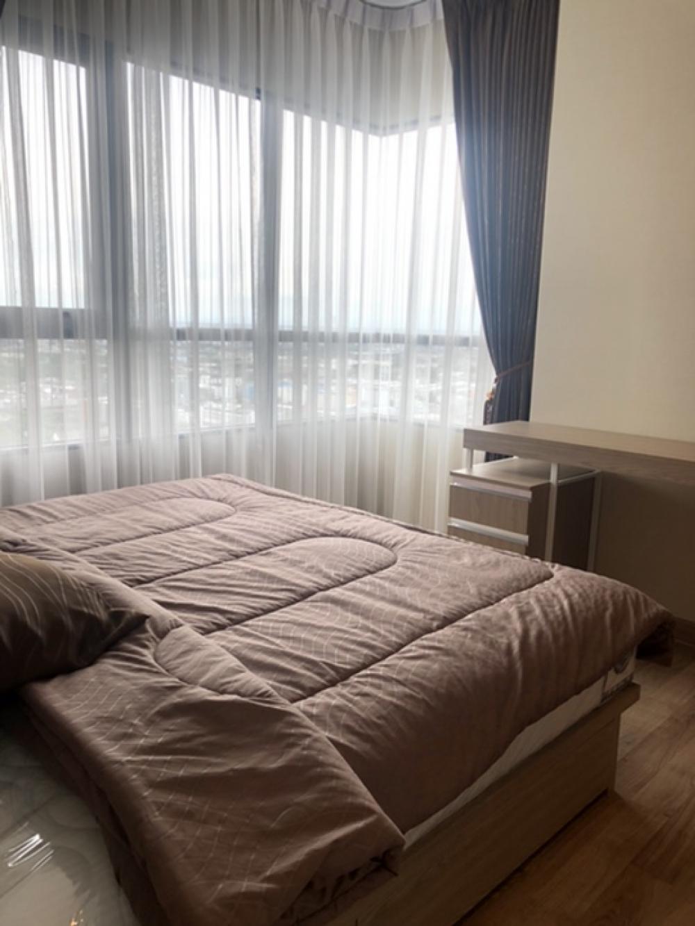 For RentCondoBangna, Bearing, Lasalle : 🏢RENT Condo Niche Mono Sukhumvit Bearing ให้เช่าคอนโด นิชโมโน สุขุมวิท แบริ่ง