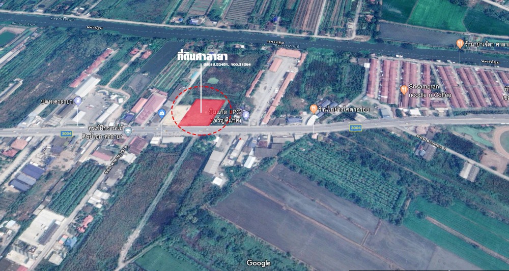 ให้เช่าที่ดินพุทธมณฑล ศาลายา : 🎊🎁 ปล่อยเช่าที่ดินสวย เหมาะทำตลาดนัด ติดถนนใหญ่ศาลายา ใกล้แหล่งชุมชน โรงเรียนและมหาวิทยาลัย