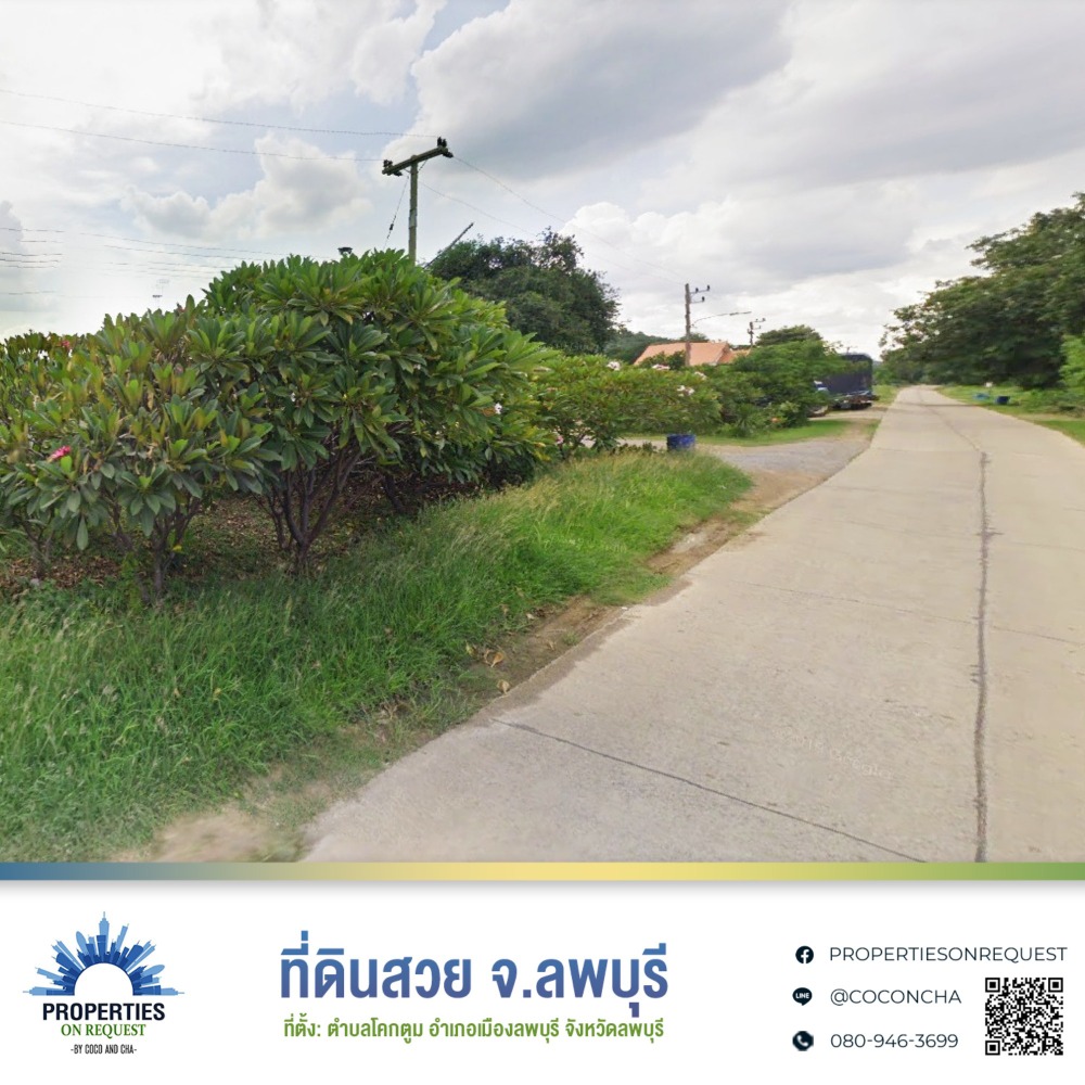 📢 Land for sale, beautiful location. Surrounded by mountain views Near tourist attractions, Lop Buri (area of over 18 rai) (Property number: COL022) Loading...